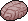 Animal Brain
