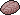 Small Animal Brain