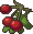 Berries