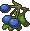 Berries