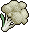 Cauliflower