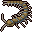Centipede
