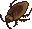 Cockroach