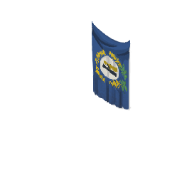 Administrative Flag