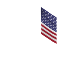USA Flag