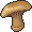 Mushrooms