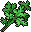 Parsley