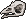 Raccoon Skull