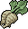 Sugar Beet