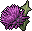 Thistles